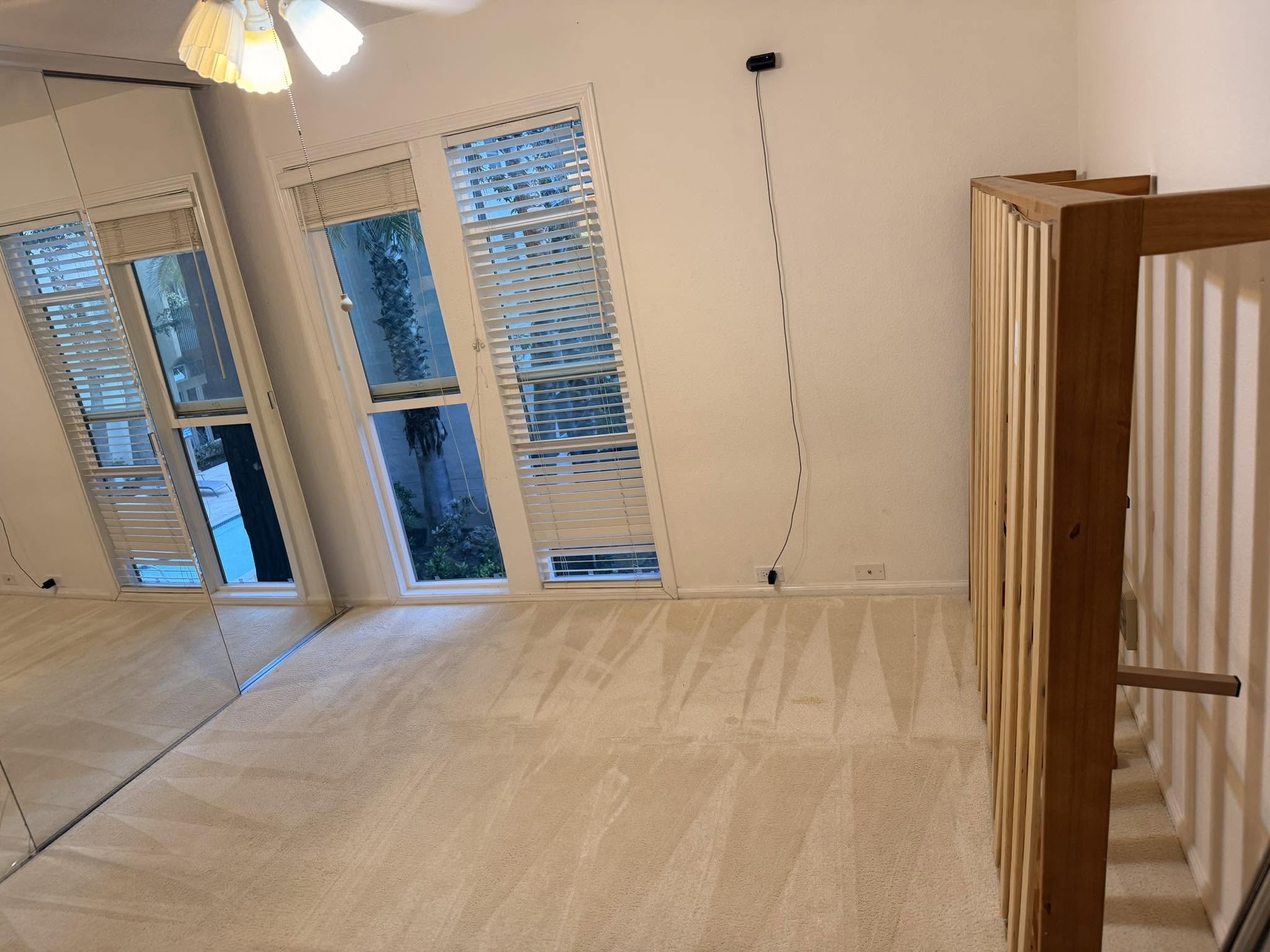 Professional Carpet Cleaning in Walnut Creek & East Bay