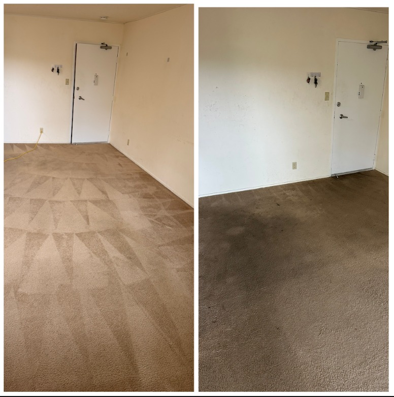 Lama’s Pro Carpet Cleaning - project - 1