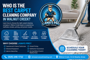 Who Is the Best Carpet Cleaning Company in Walnut Creek?