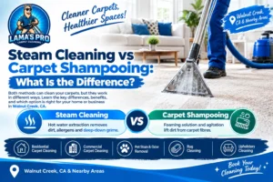 Steam Cleaning vs Carpet Shampooing: What Is the Difference?
