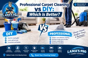 Professional Carpet Cleaning vs DIY Which Is Better