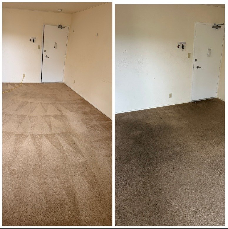 Before and after living room carpet cleaning in an East Bay apartment