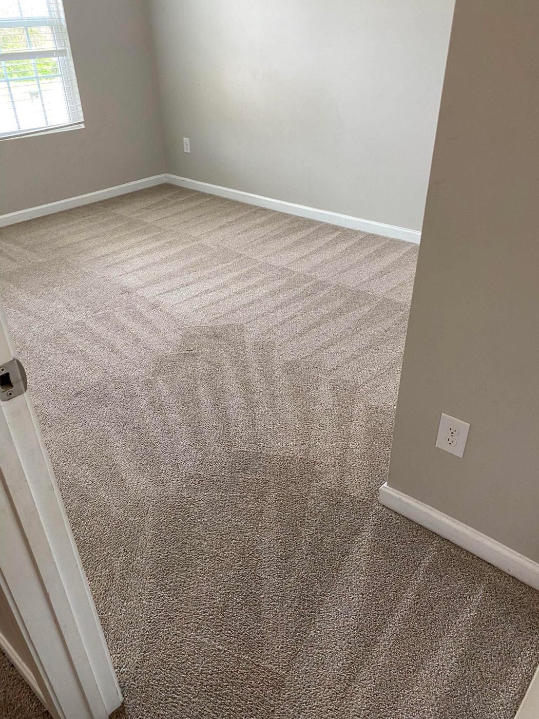 Brown bedroom carpet professionally cleaned in Walnut Creek