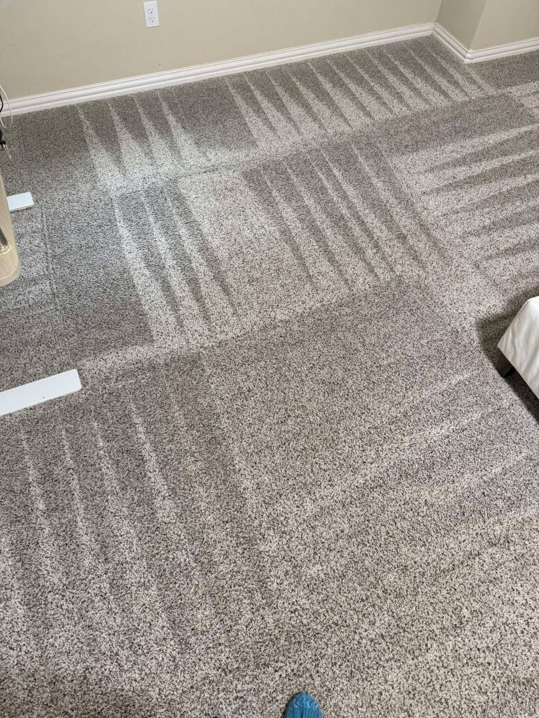 Freshly cleaned grey bedroom carpet in Walnut Creek with clean extraction lines