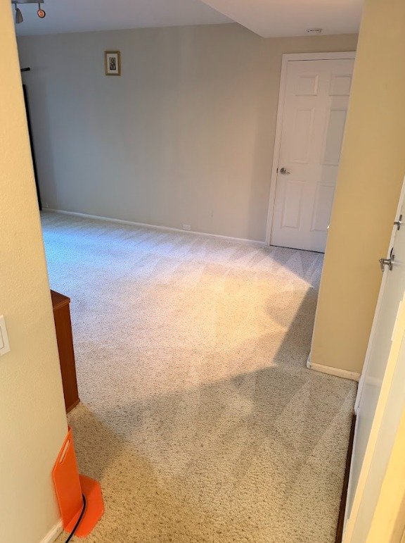 Hallway and family room carpet freshly cleaned in Walnut Creek
