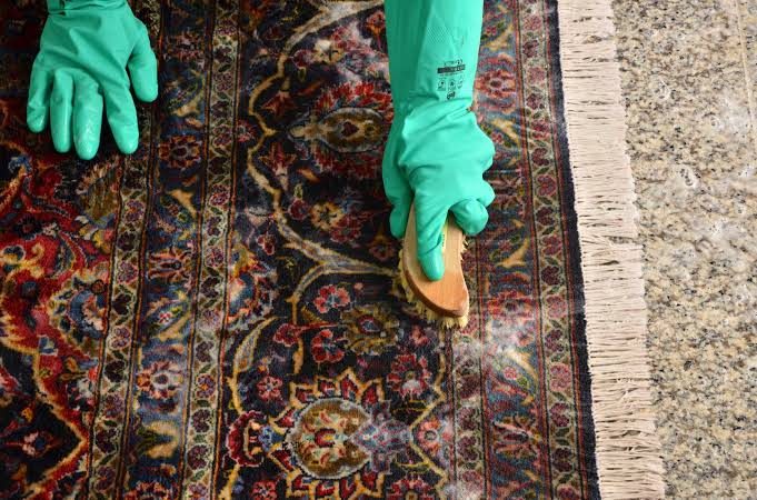 Hand treating pet stains and odor on a wool area rug in Walnut Creek