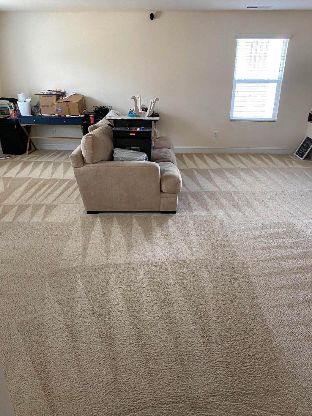 Living room carpet cleaning in Walnut Creek showing clean beige carpet