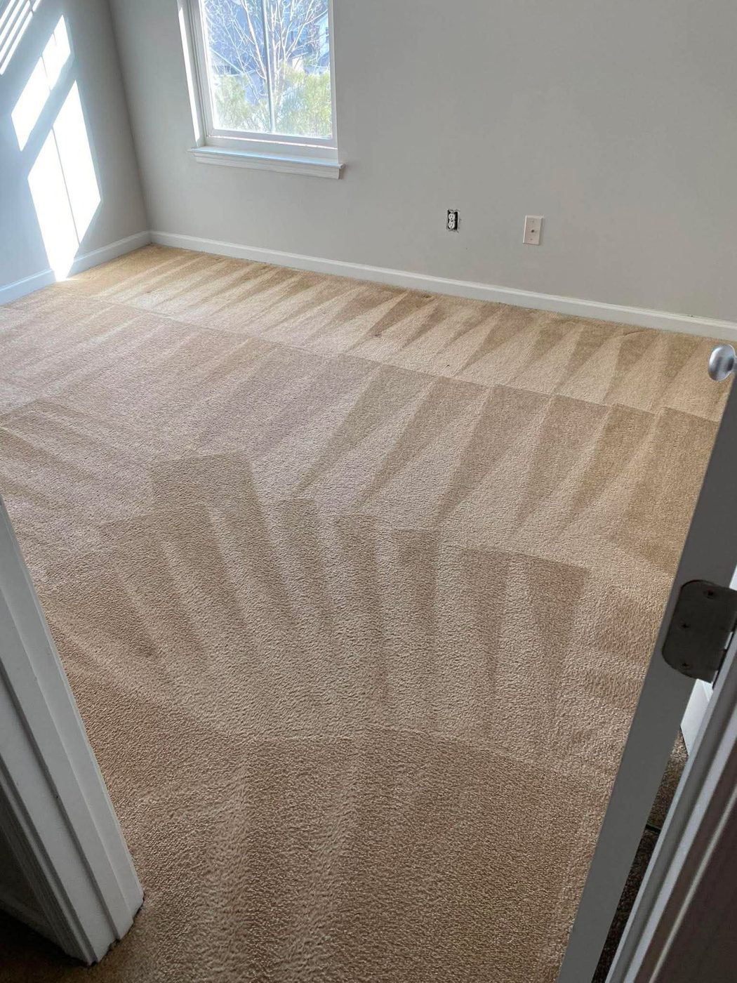 Tan bedroom carpet steam cleaned in the East Bay