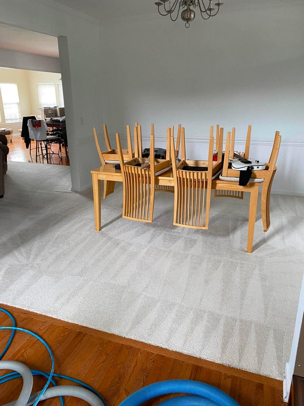 White dining room carpet professionally cleaned in Walnut Creek